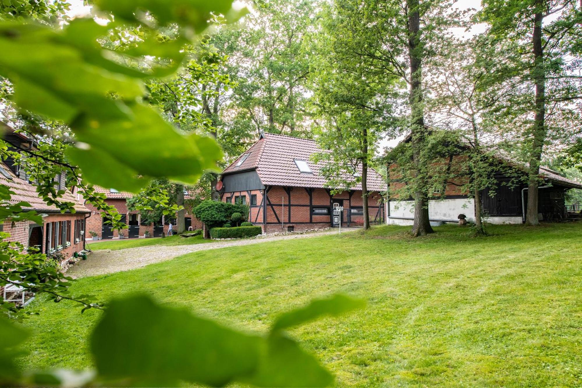 Traumhaftes Anwesen In Der Lueneburger Heide Daire Soltau Dış mekan fotoğraf