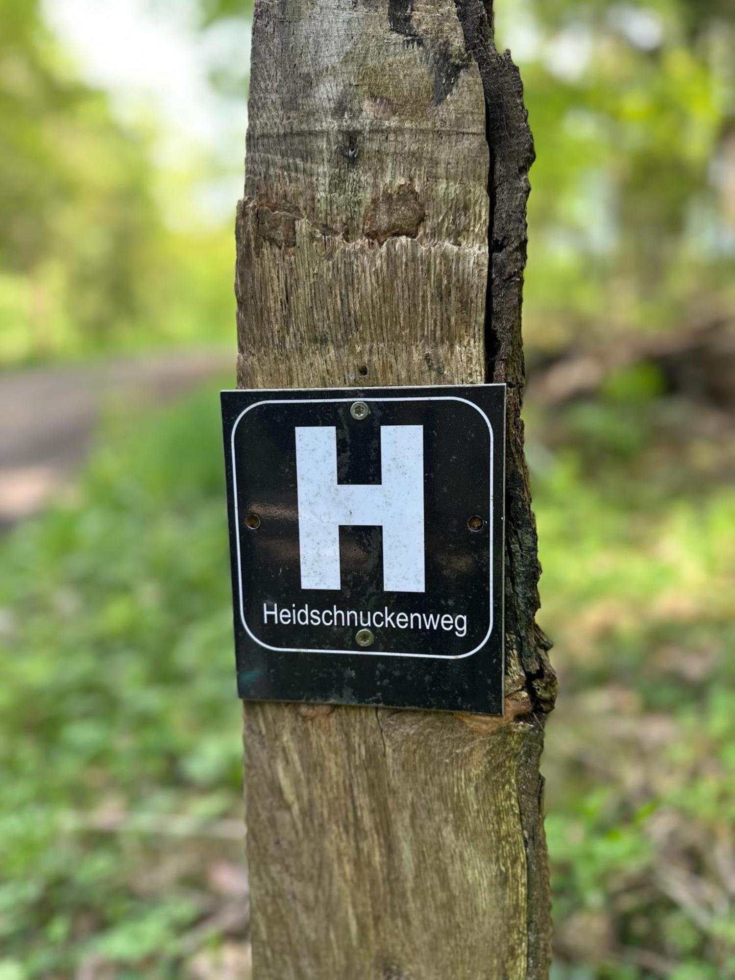 Traumhaftes Anwesen In Der Lueneburger Heide Daire Soltau Dış mekan fotoğraf